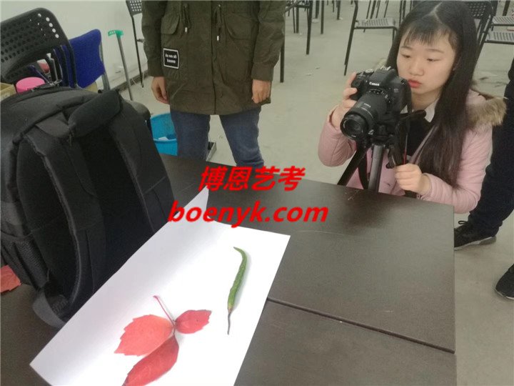 首页 > 摄影艺考指南
