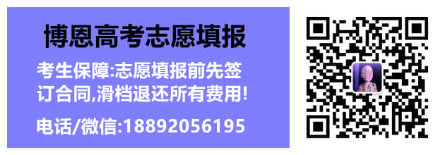 亚新app